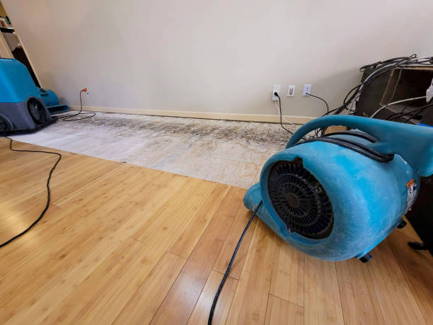 Professional Water Damage Repair technician working in Eden, TX